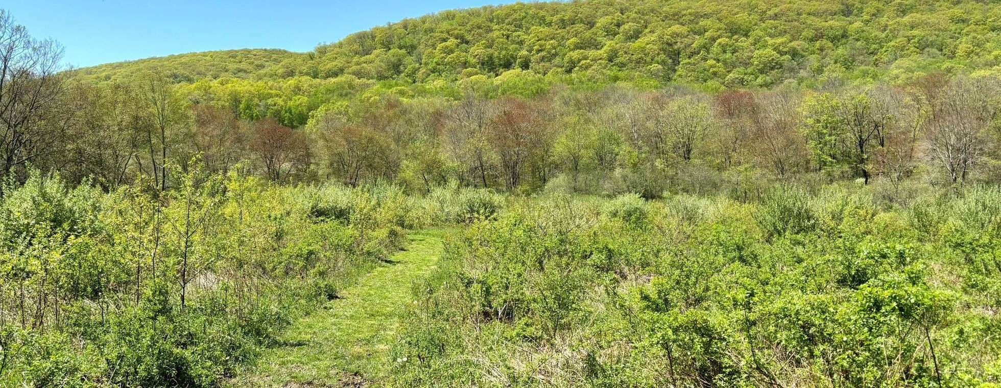 Summer Saunters: Hillside Farm
